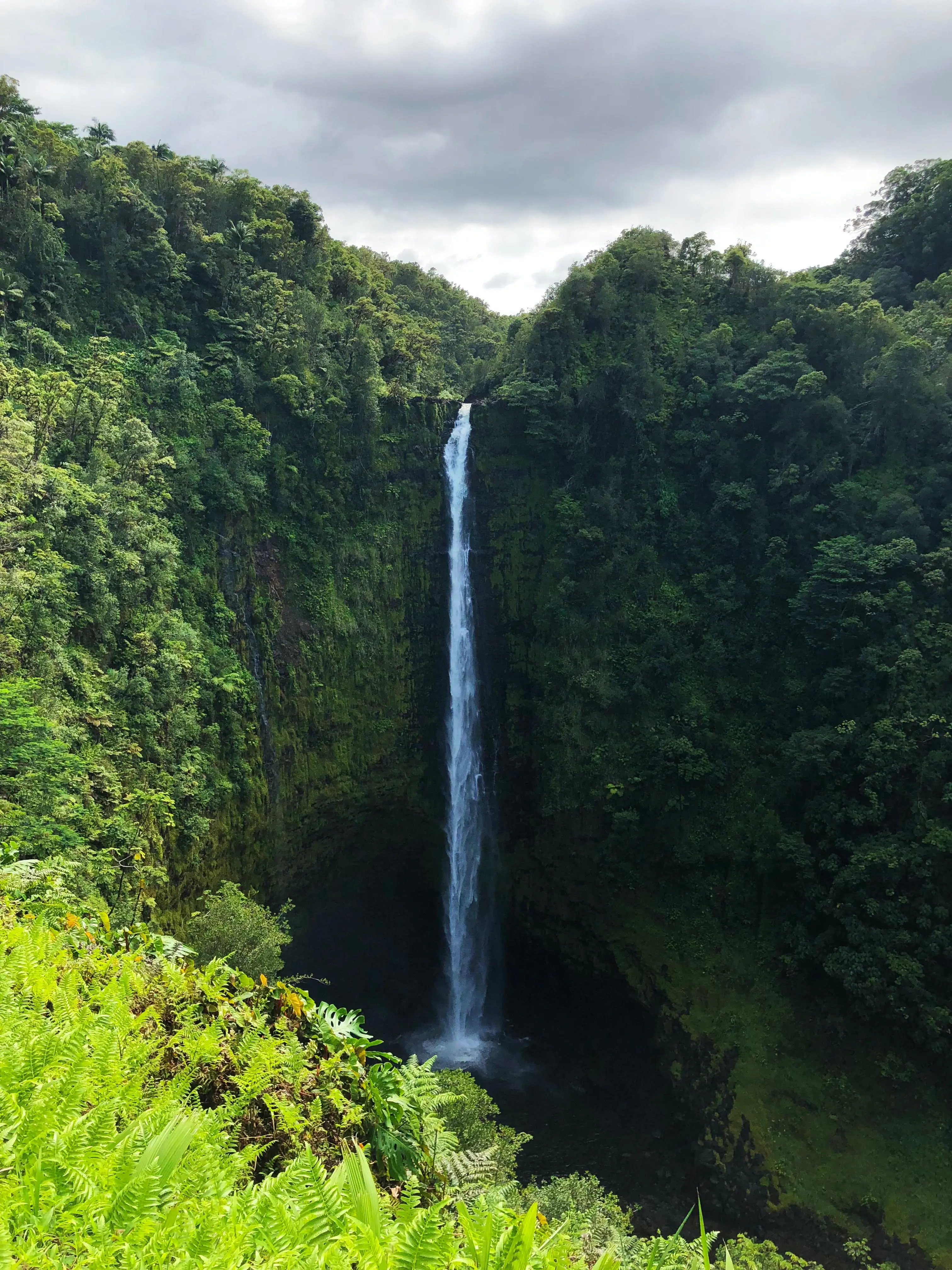 Akaka Falls State Park