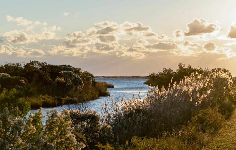 Baltimore to Chincoteague