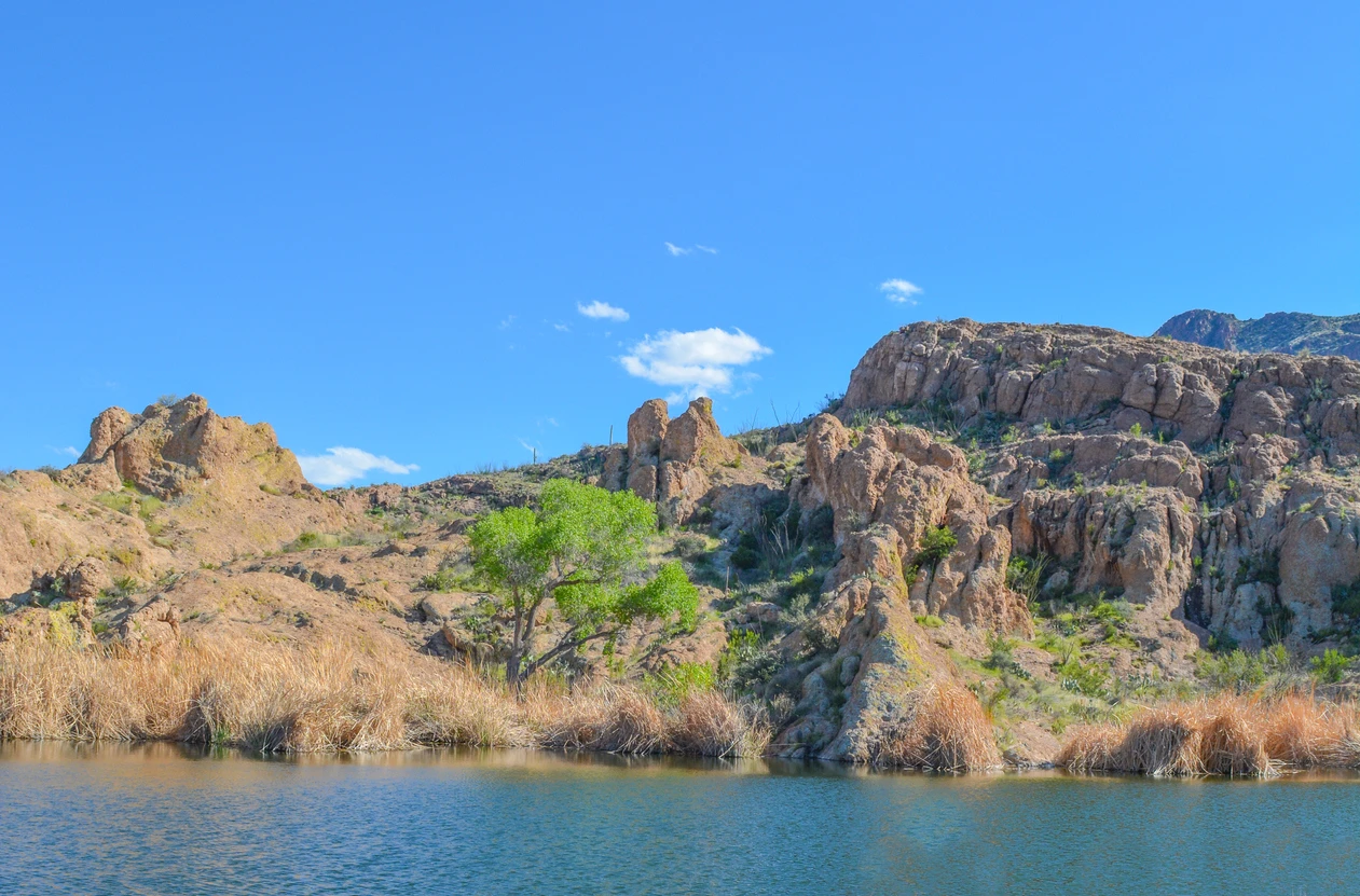 Boyce Thompson Arboretum 