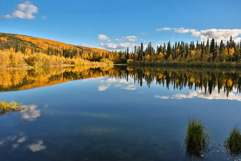 Chena River State Recreation Area