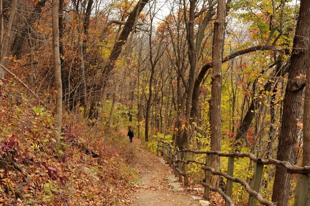 Effigy Mounds National Monument