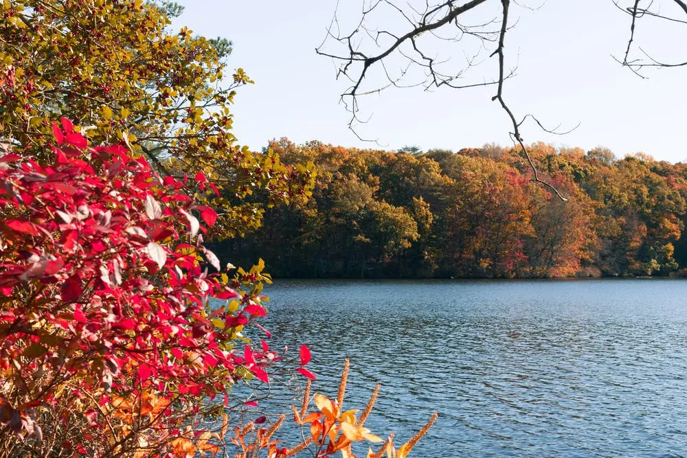 Killens Pond State Park