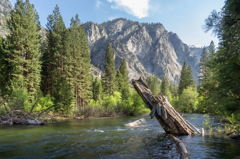 Kings Canyon National Park