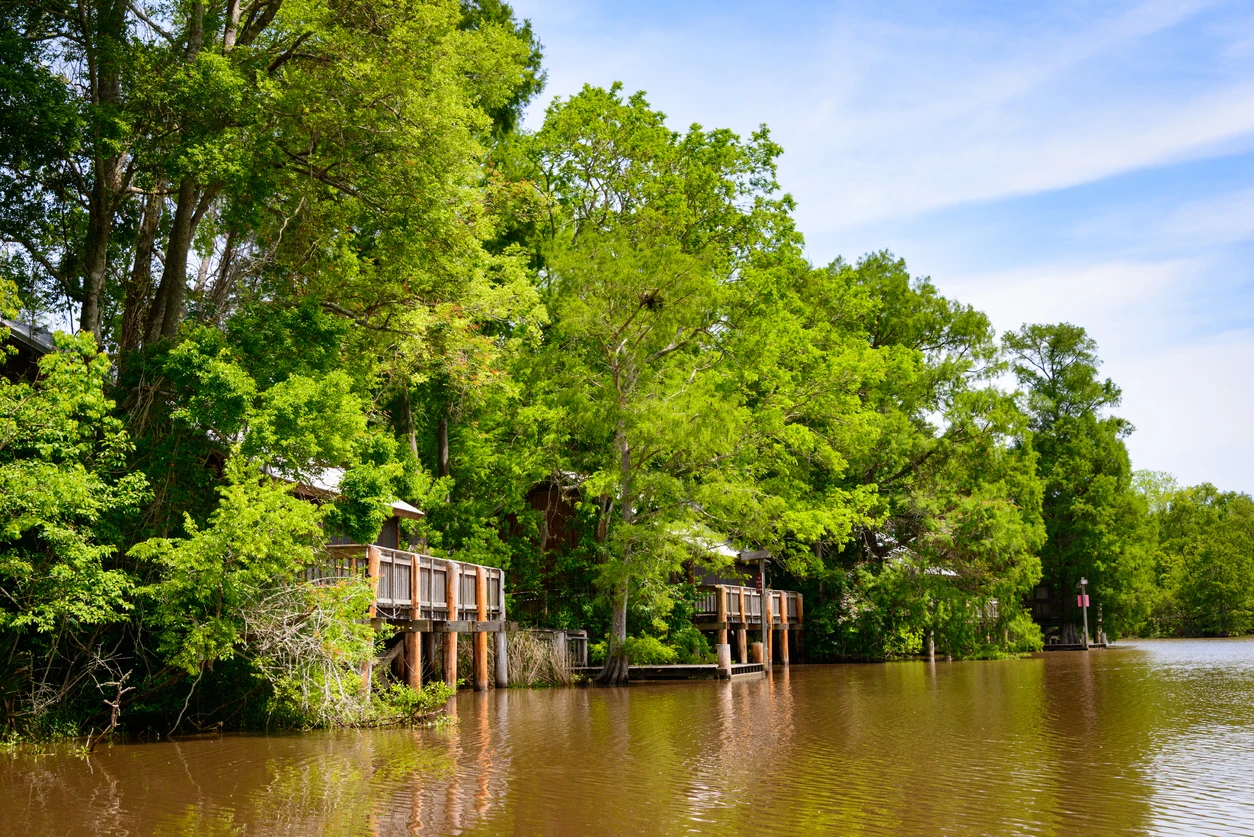 Lake Fausse Pointe State Park