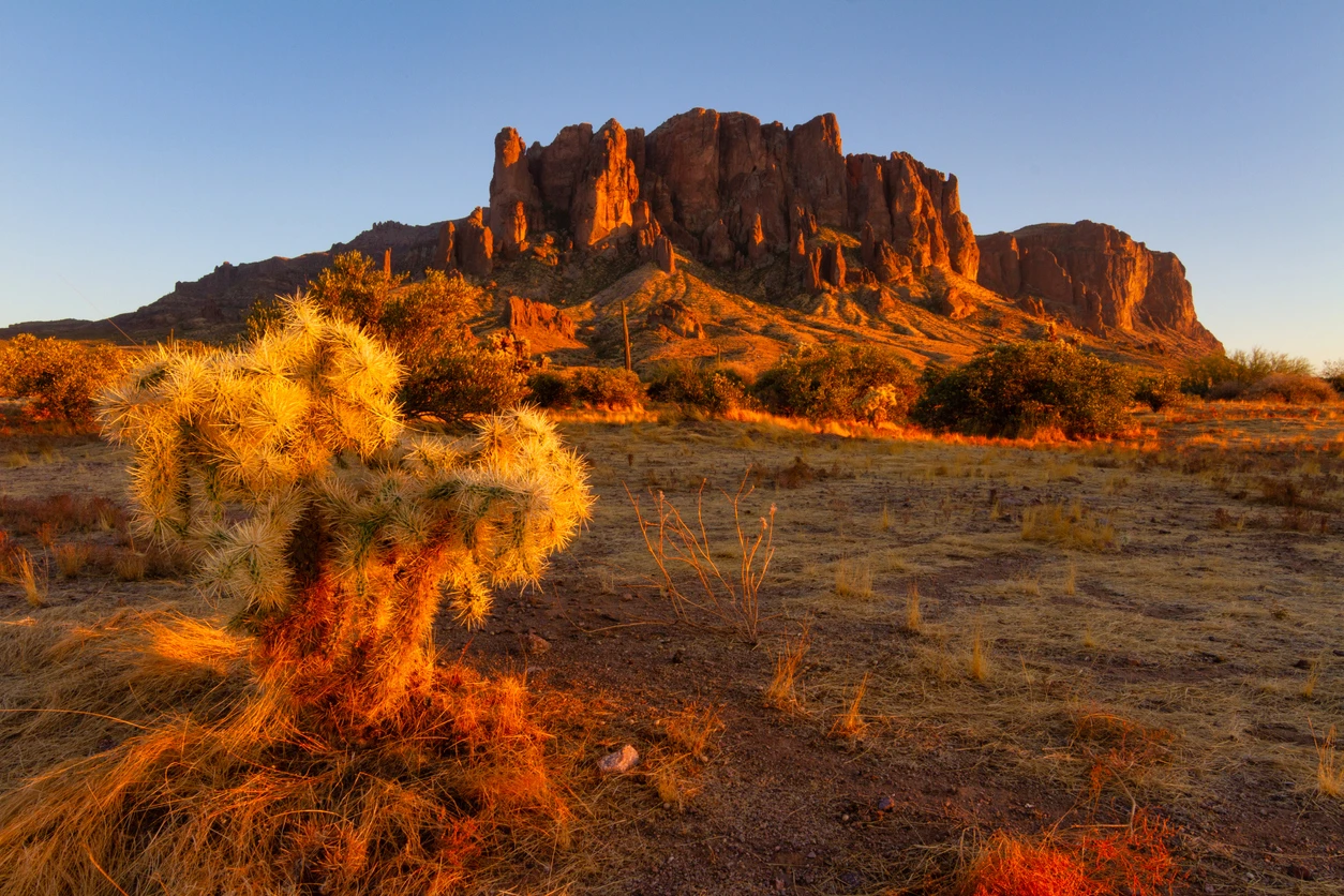 Lost Dutchman State Park