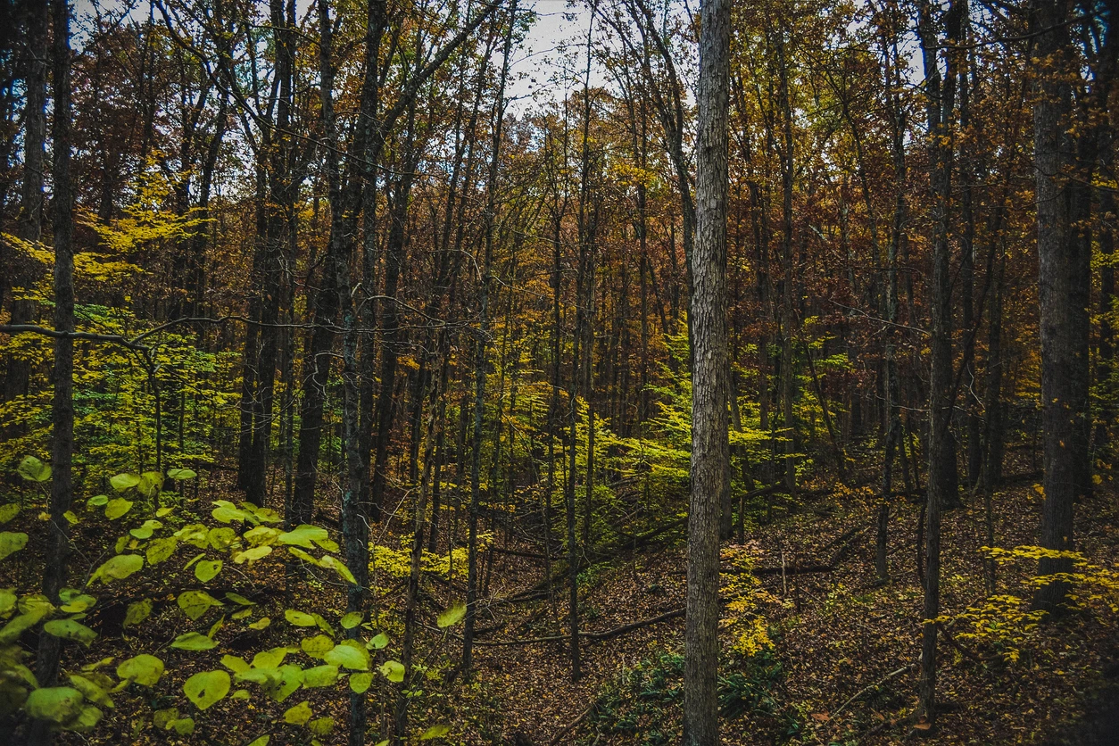 Mounds State Park