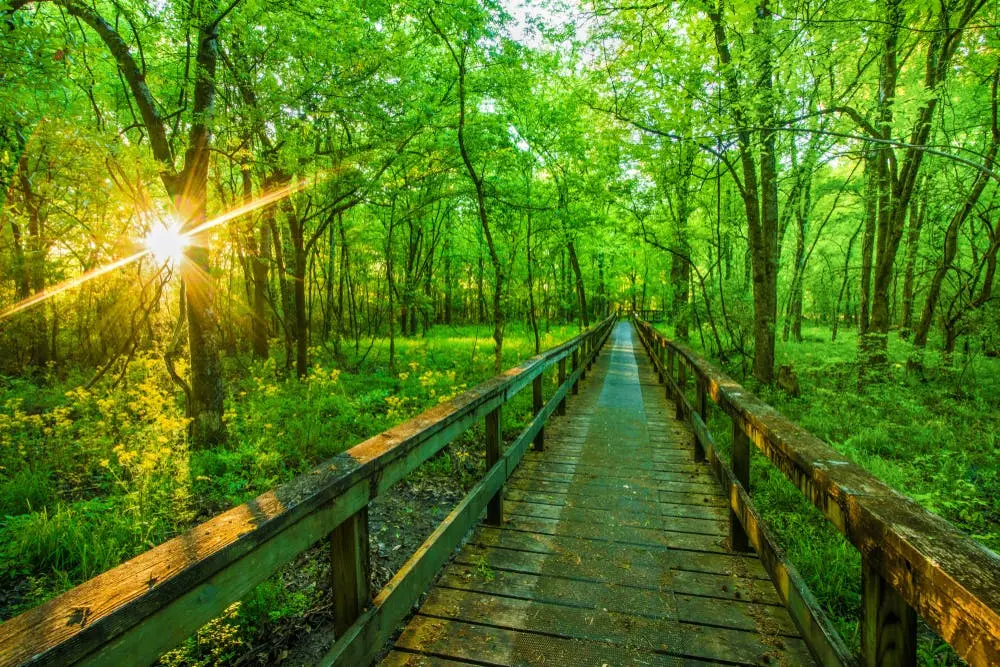 Natchez Trace Parkway