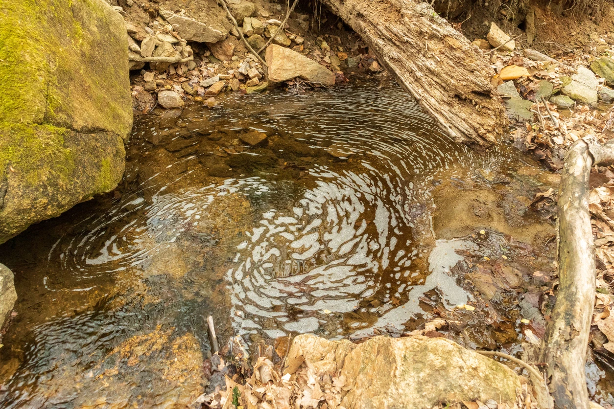 Patapsco Valley State Park