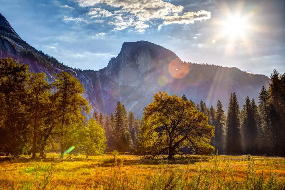 Yosemite National Park